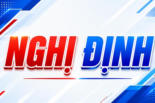 Nghị định số 291/2026/NĐ-CP của Chính phủ: Sửa đổi, bổ sung một số điều của Nghị định số 125/2020/NĐ-СР ngày 19 tháng 10 năm 2020 của Chính phủ quy định xử phạt vi phạm hành chính về thuế, hóa đơn được sửa đổi, bổ sung bởi Nghị định số 102/2021/NĐ-CP ngày 16 tháng 11 năm 2021 của Chính phủ và Nghị định số 310/2025/NĐ-CP ngày 02 tháng 12 năm 2025 của Chính phủ 