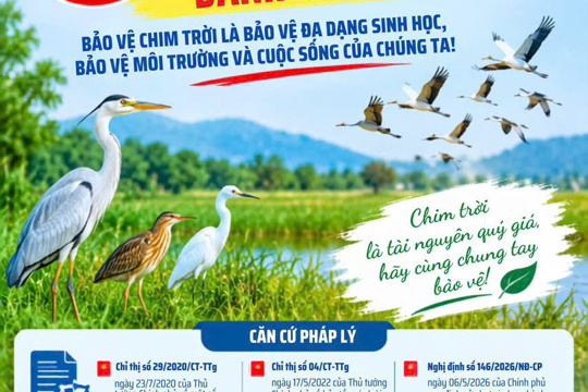 Kỳ Khang tăng cường tuyên truyền nghiêm cấm săn, bắn, bẫy, tàng trữ chế biến động vật hoang dã và chim di cư.