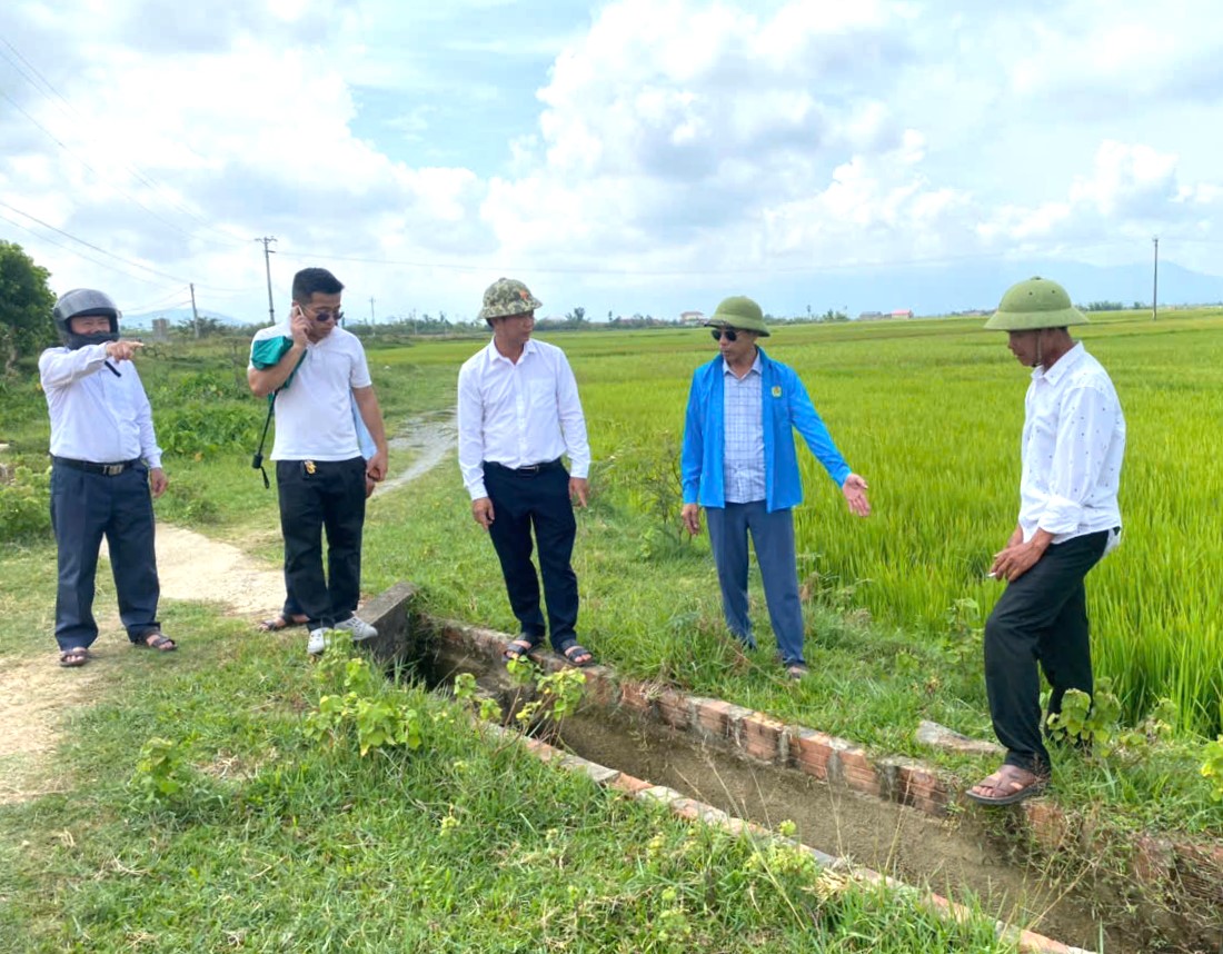 Kiểm tra tình hình lúa bị ảnh hưởng do hạn, nhiễm mặn và một số tuyến kênh mương phục vụ tưới tiêu 