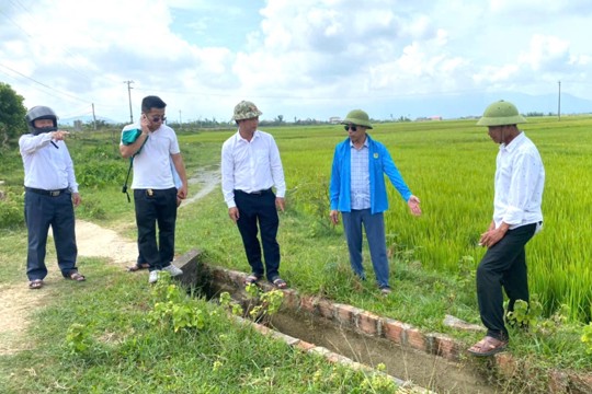 Kiểm tra tình hình lúa bị ảnh hưởng do hạn, nhiễm mặn và một số tuyến kênh mương phục vụ tưới tiêu  